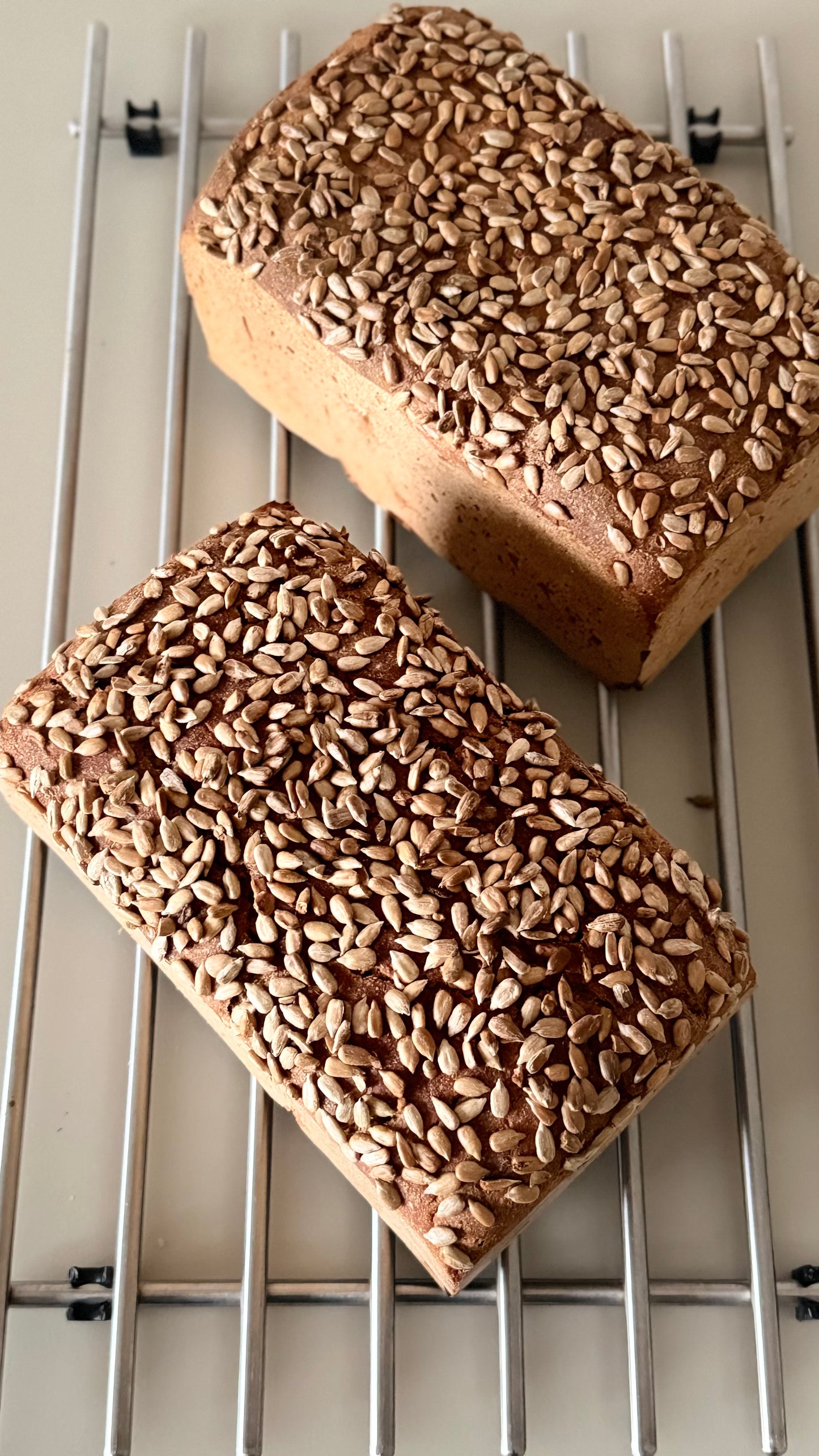 1250g %100 Ekşi Mayalı Çekirdekli Çavdar Ekmeği
