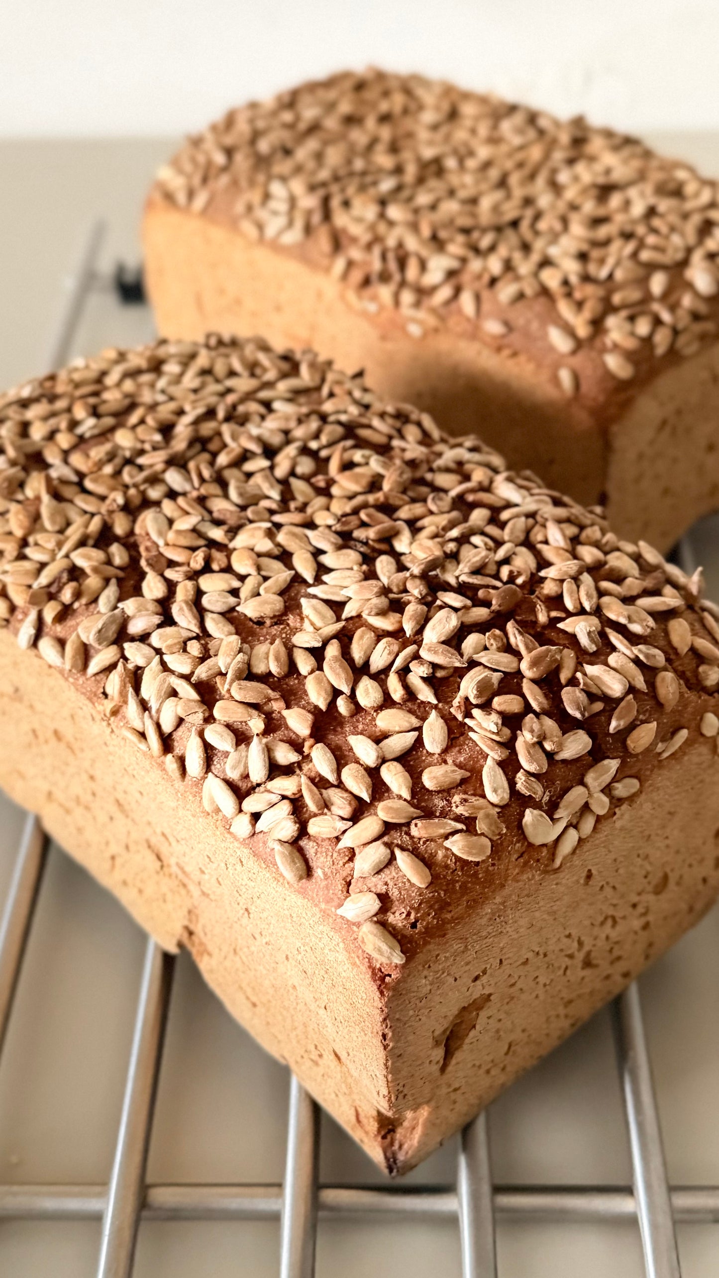 1250g %100 Ekşi Mayalı Çekirdekli Çavdar Ekmeği
